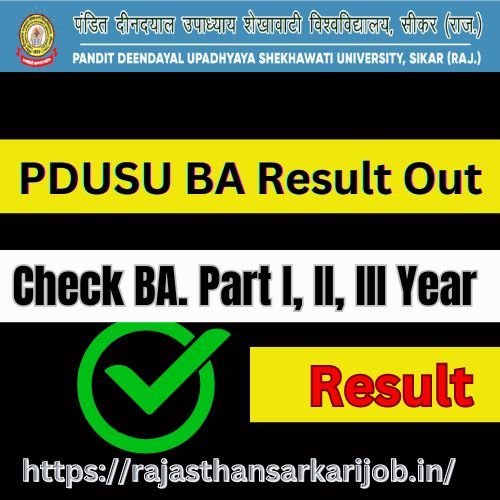 PDUSU BA Result